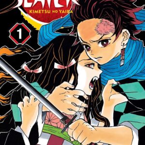Demon Slayer tome 1